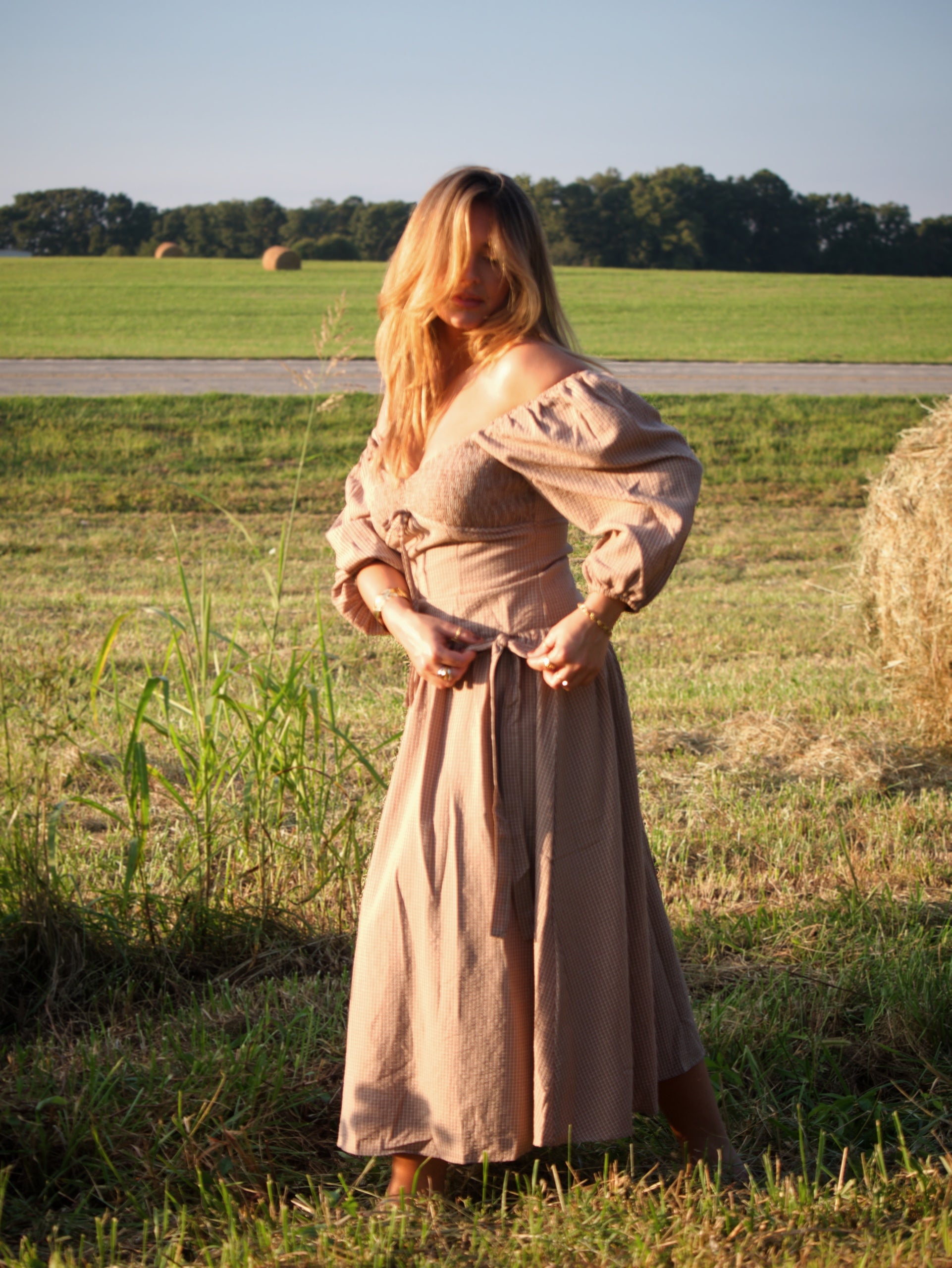 Amelia Gingham Dress