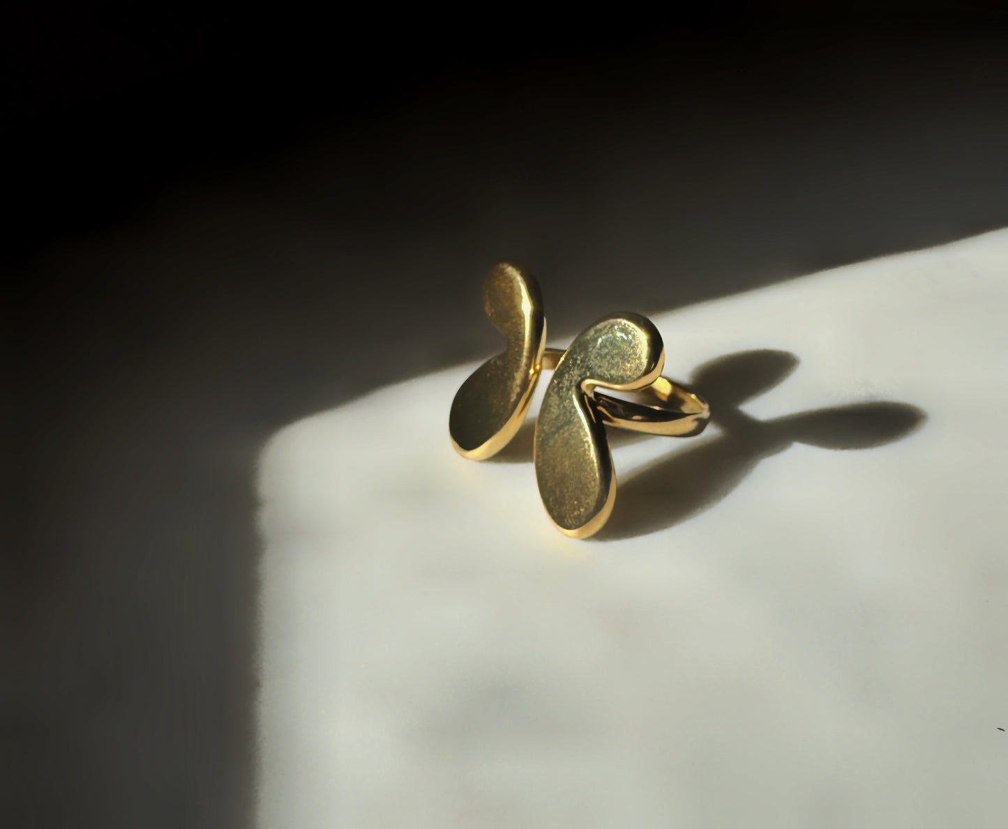 18K Gold Dipped Ring