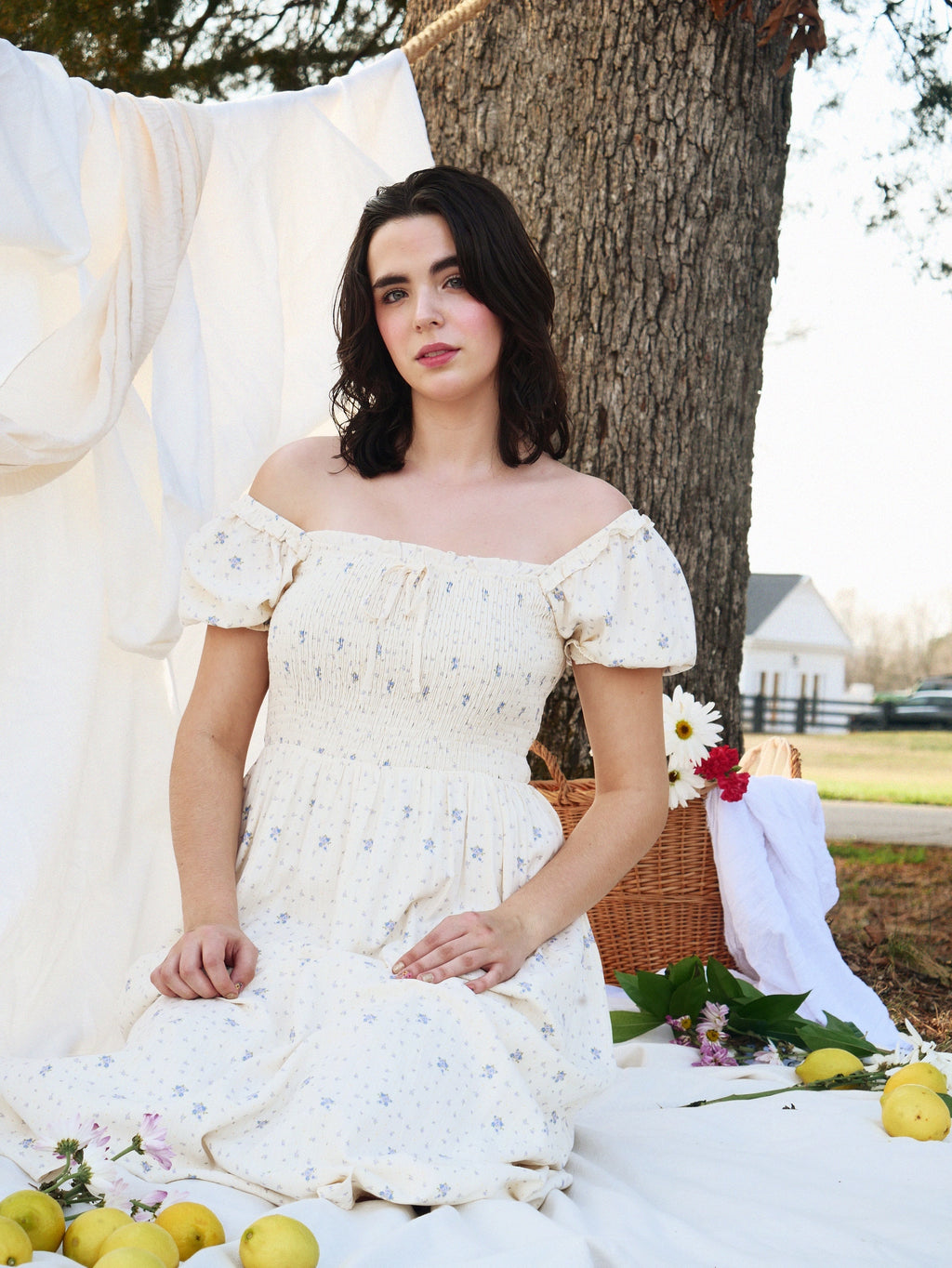 Cotton Burberry Dress